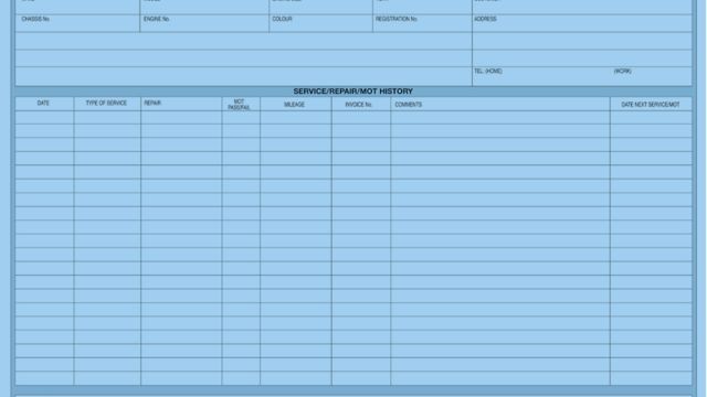 Customer Record Wallets